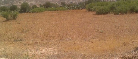 زغوان: الدّولة تسترجع 10 هكتارات من أراضيها المستولى عليها