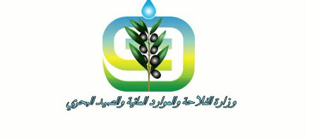 وزارة الفلاحة تُعلن عن إجراءات جديدة لدعم تمويل ربط الأعلاف الخشنة وتكوين مخزونات ذاتية لمربي الماشية